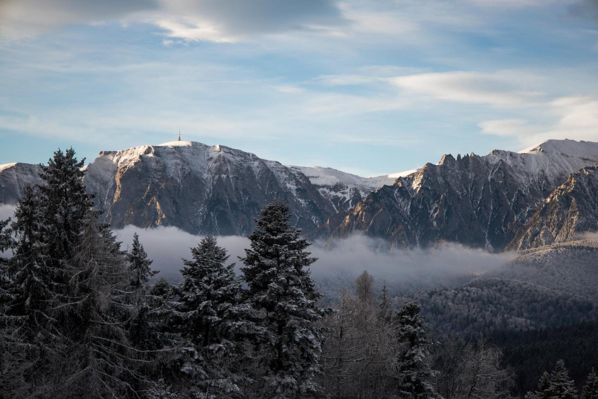 Vila Edelweiss Predeal Exteriör bild